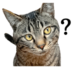 Bell and Rai sticker #15912094