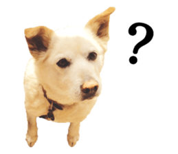 Bell and Rai sticker #15912095