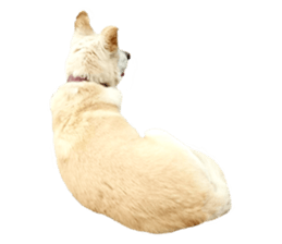 Bell and Rai sticker #15912103