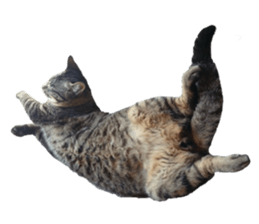 Bell and Rai sticker #15912104