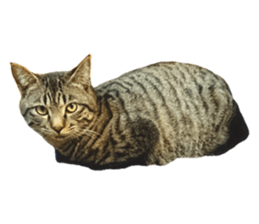 Bell and Rai sticker #15912105