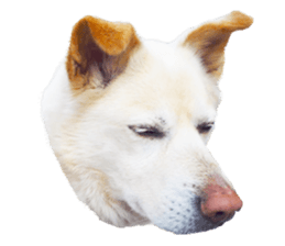 Bell and Rai sticker #15912106