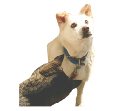 Bell and Rai sticker #15912112