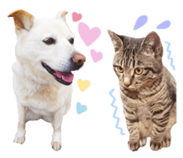 Bell and Rai sticker #15912113