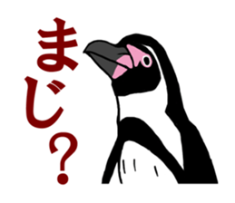 BOLT-ON sticker #15913061