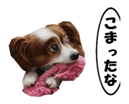 active dog papy-2 sticker #15913434