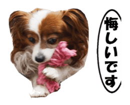 active dog papy-2 sticker #15913435