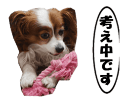 active dog papy-2 sticker #15913436