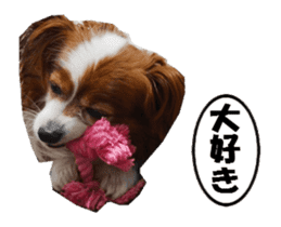 active dog papy-2 sticker #15913437