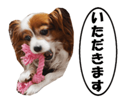 active dog papy-2 sticker #15913438
