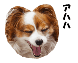 active dog papy-2 sticker #15913439