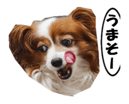 active dog papy-2 sticker #15913442