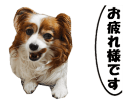 active dog papy-2 sticker #15913443