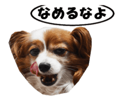 active dog papy-2 sticker #15913444