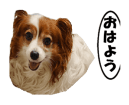 active dog papy-2 sticker #15913446