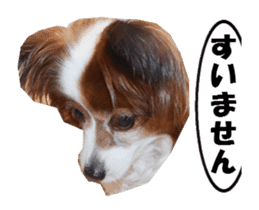 active dog papy-2 sticker #15913447