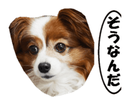 active dog papy-2 sticker #15913448