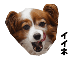 active dog papy-2 sticker #15913450