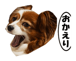 active dog papy-2 sticker #15913451