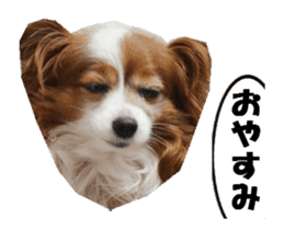 active dog papy-2 sticker #15913452