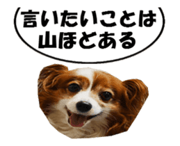 active dog papy-2 sticker #15913455