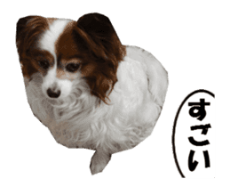 active dog papy-2 sticker #15913456