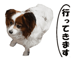 active dog papy-2 sticker #15913457