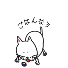 Funny Cat White Cat! sticker #15913884