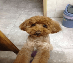 MuMuLife sticker #15914130