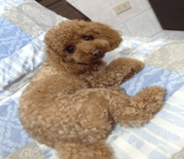 MuMuLife sticker #15914131