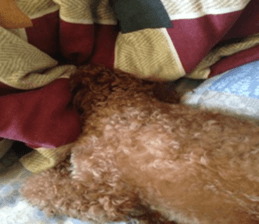 MuMuLife sticker #15914133