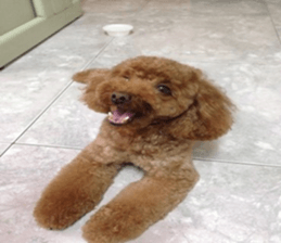 MuMuLife sticker #15914135