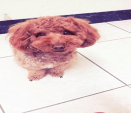 MuMuLife sticker #15914136