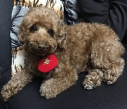 MuMuLife sticker #15914137