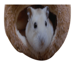 fat fat sticker #15914946