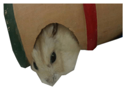 fat fat sticker #15914947