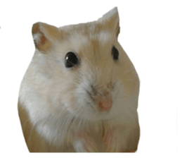 fat fat sticker #15914948