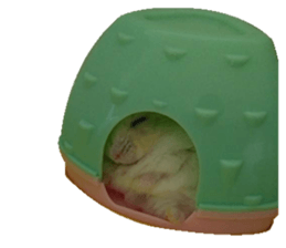 fat fat sticker #15914950