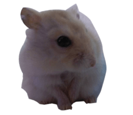 fat fat sticker #15914951