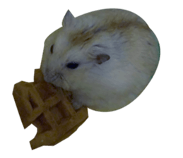 fat fat sticker #15914952