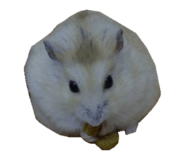 fat fat sticker #15914953