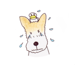 terrier&duck sticker sticker #15915292