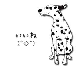 Dalmatian and DARUMAtian sticker #15917902