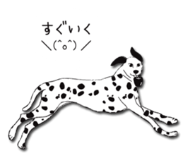 Dalmatian and DARUMAtian sticker #15917907