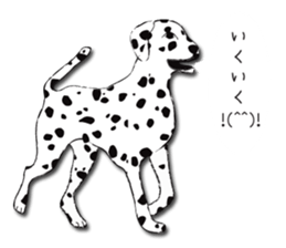 Dalmatian and DARUMAtian sticker #15917910