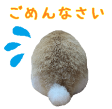 House fluffy rabbit sticker #15918149