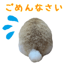 House fluffy rabbit sticker #15918149