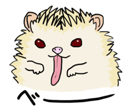 Hdgehog Kohaku sticker #15918194