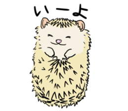 Hdgehog Kohaku sticker #15918198
