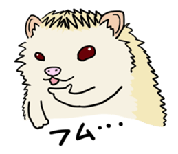 Hdgehog Kohaku sticker #15918199